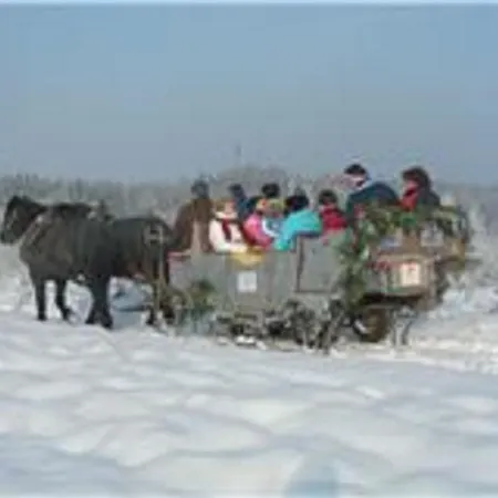 Reiterhof Muehlbauer Daire *